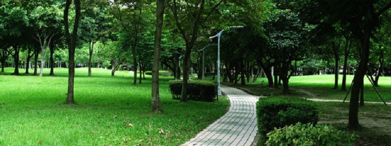 遛小孩就到公園走走